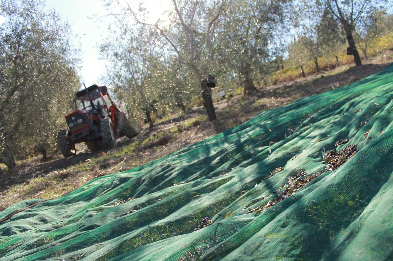 Agriturismo Il Poderuccio Castiglione dʼOrcia Eksteriør bilde