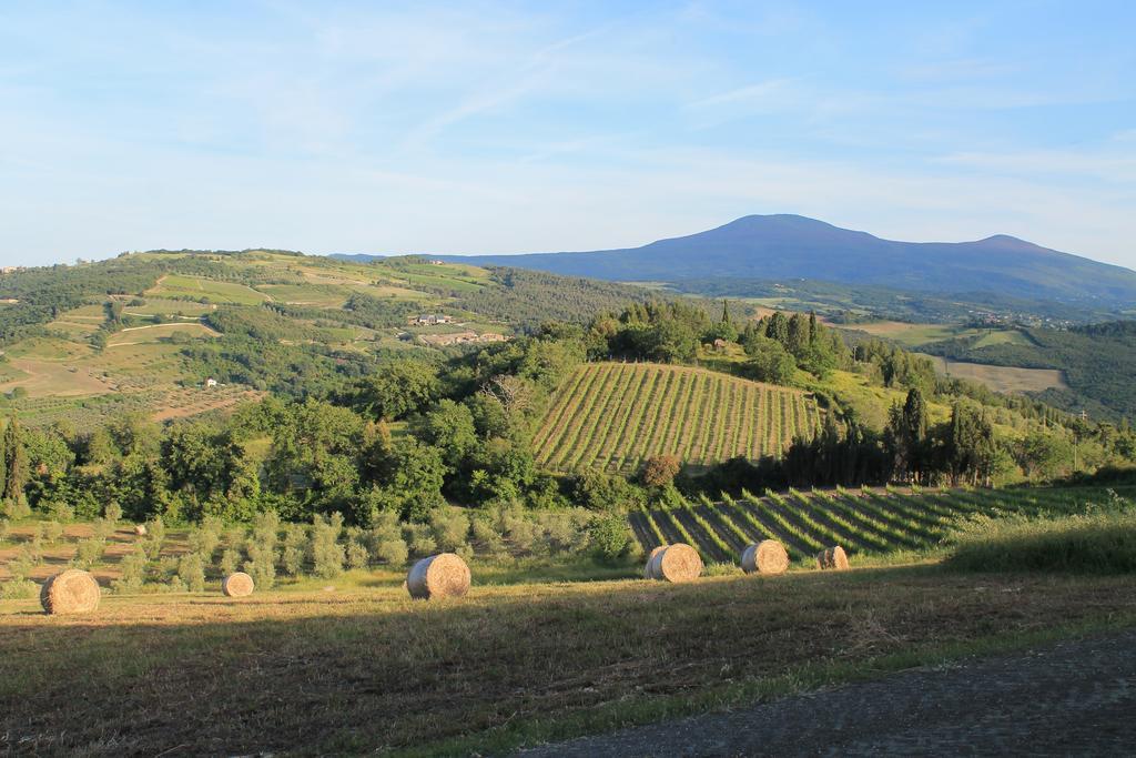 Agriturismo Il Poderuccio Castiglione dʼOrcia Eksteriør bilde